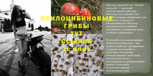 гашишное масло Арсеньев