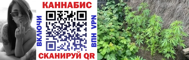 что такое   Заполярный  МАРИХУАНА ГИДРОПОН 